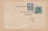 picture of item b2918