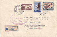 picture of item b2951