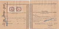 picture of item b2972