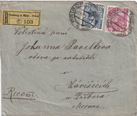 picture of item b3008