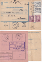 picture of item b3019