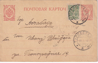 picture of item b3302