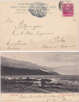 picture of item b3319